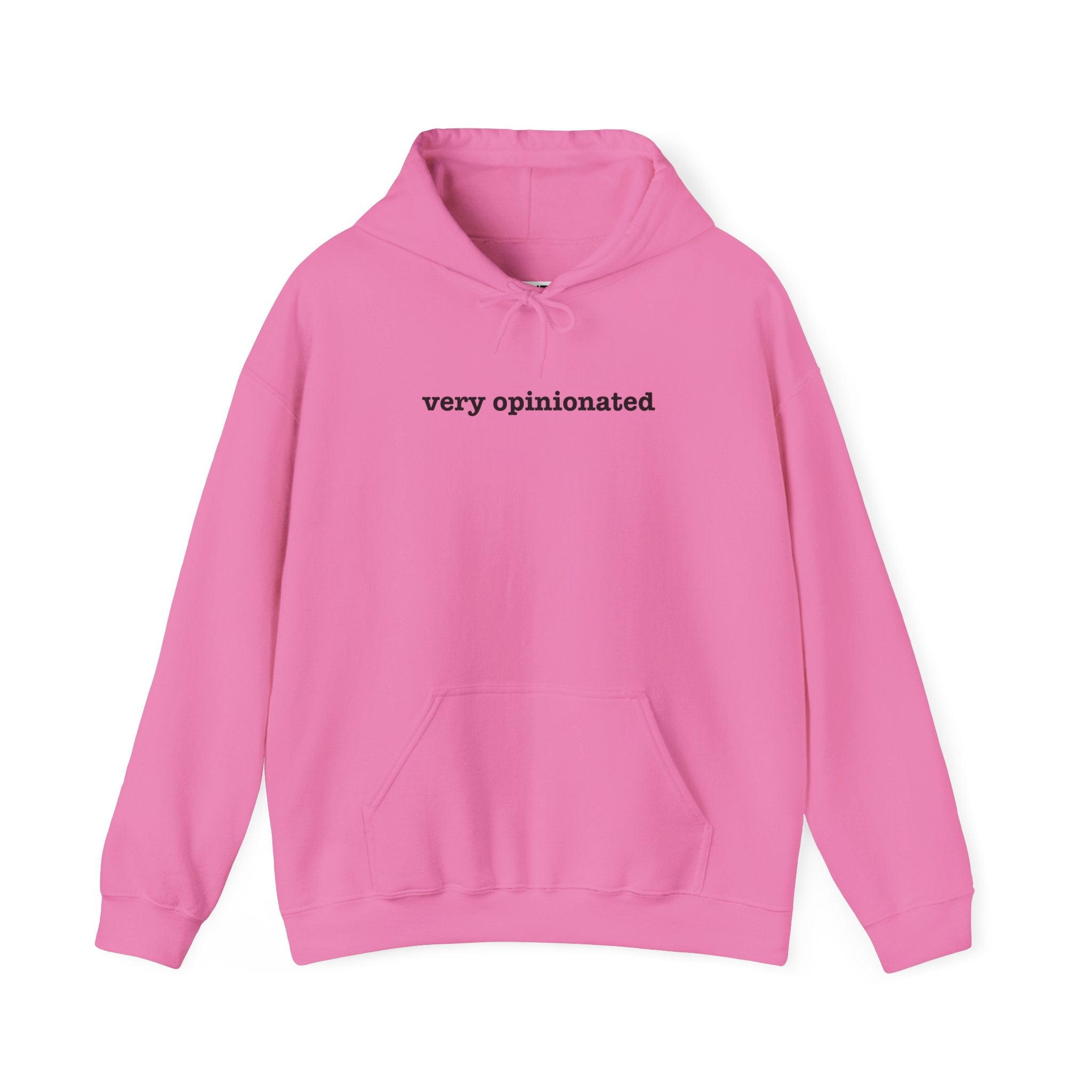 Very Opinionated minimal text pullover hoodie, styled shot