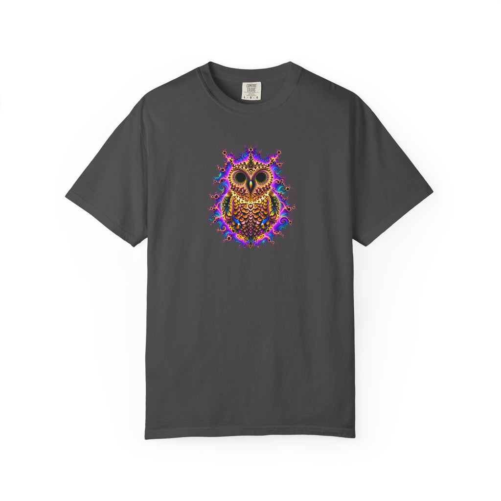A gray short-sleeve crewneck t-shirt featuring a colorful, intricate owl graphic printed on the center chest, displayed against a solid white background.