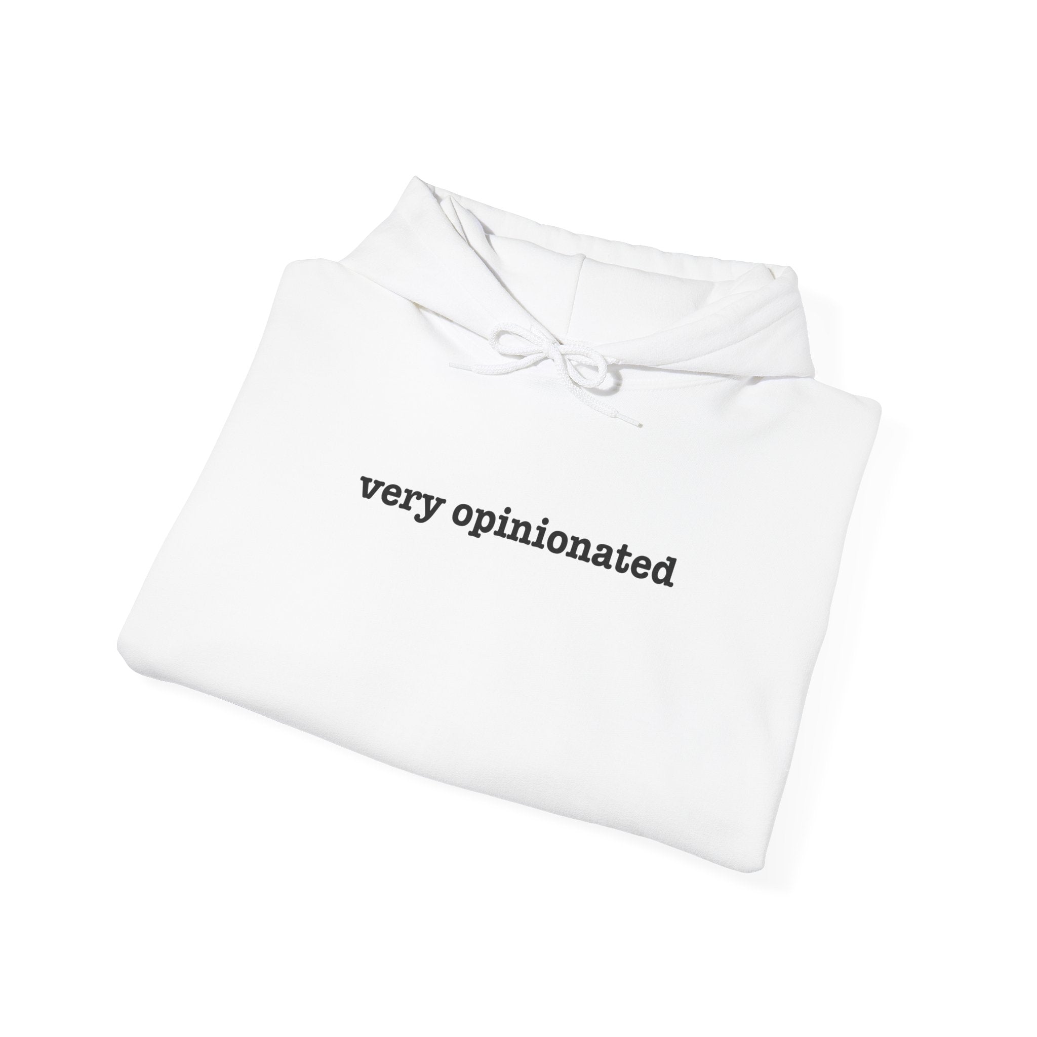 Very Opinionated minimal text pullover hoodie, on-model back view