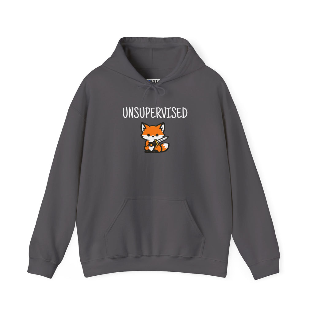Unsupervised Cute Fox With Sword Hoodie Graphic Sweatshirt - Mutantur Labs LLC