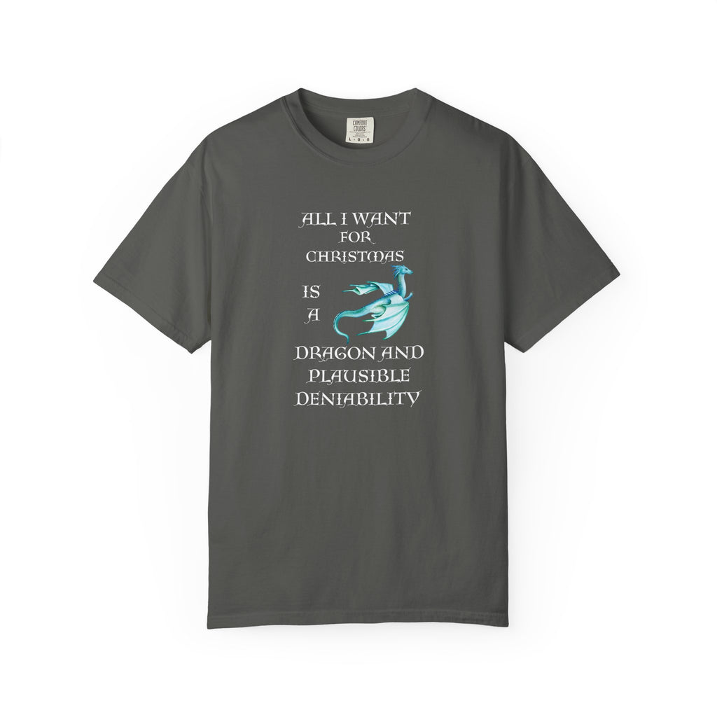 A dark gray crewneck t-shirt with a graphic print on the front. The print features white text reading 'ALL I WANT FOR CHRISTMAS IS A DRAGON AND PLAUSIBLE DENIALITY' alongside a light blue cartoon dragon illustration, displayed against a solid white background.