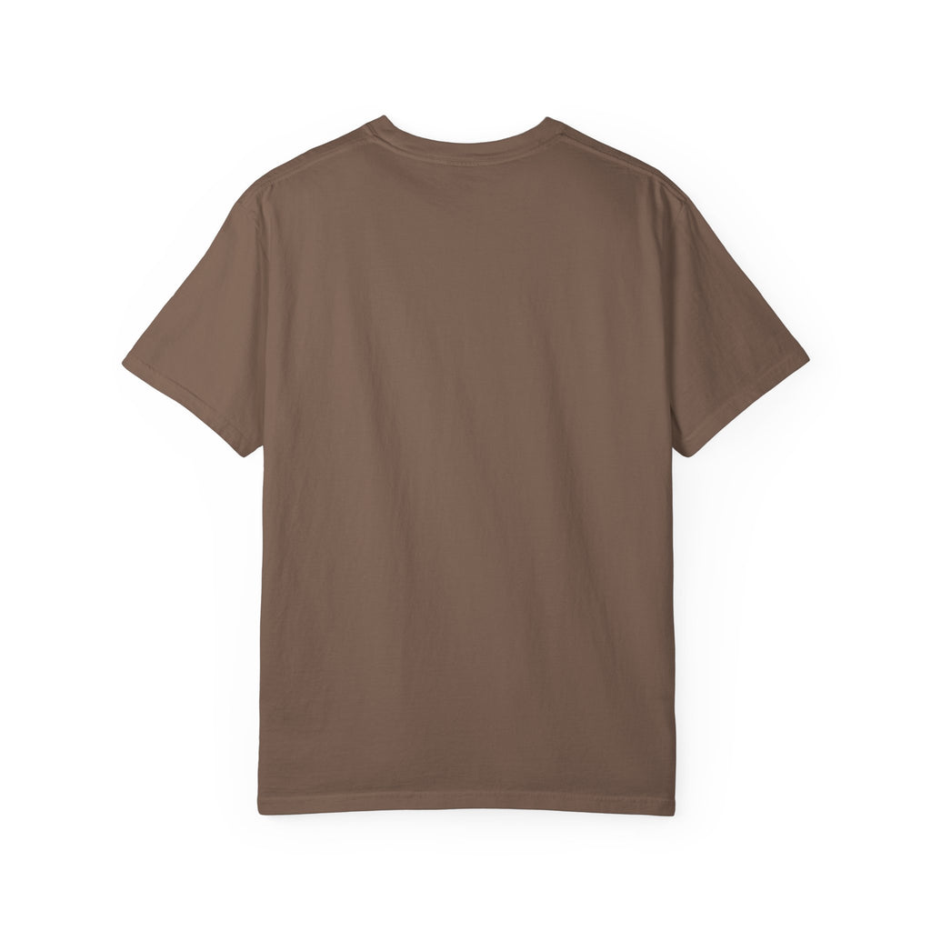 "Too Old for Drama, Just Old Enough For Dragons" Fantasy Fan Comfort Colors Tee