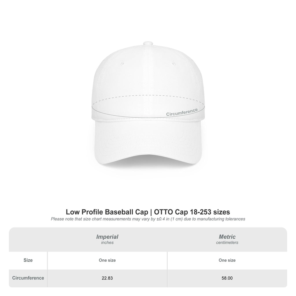 "This Hat Makes Me Invisible" Embroidered Dad Hat