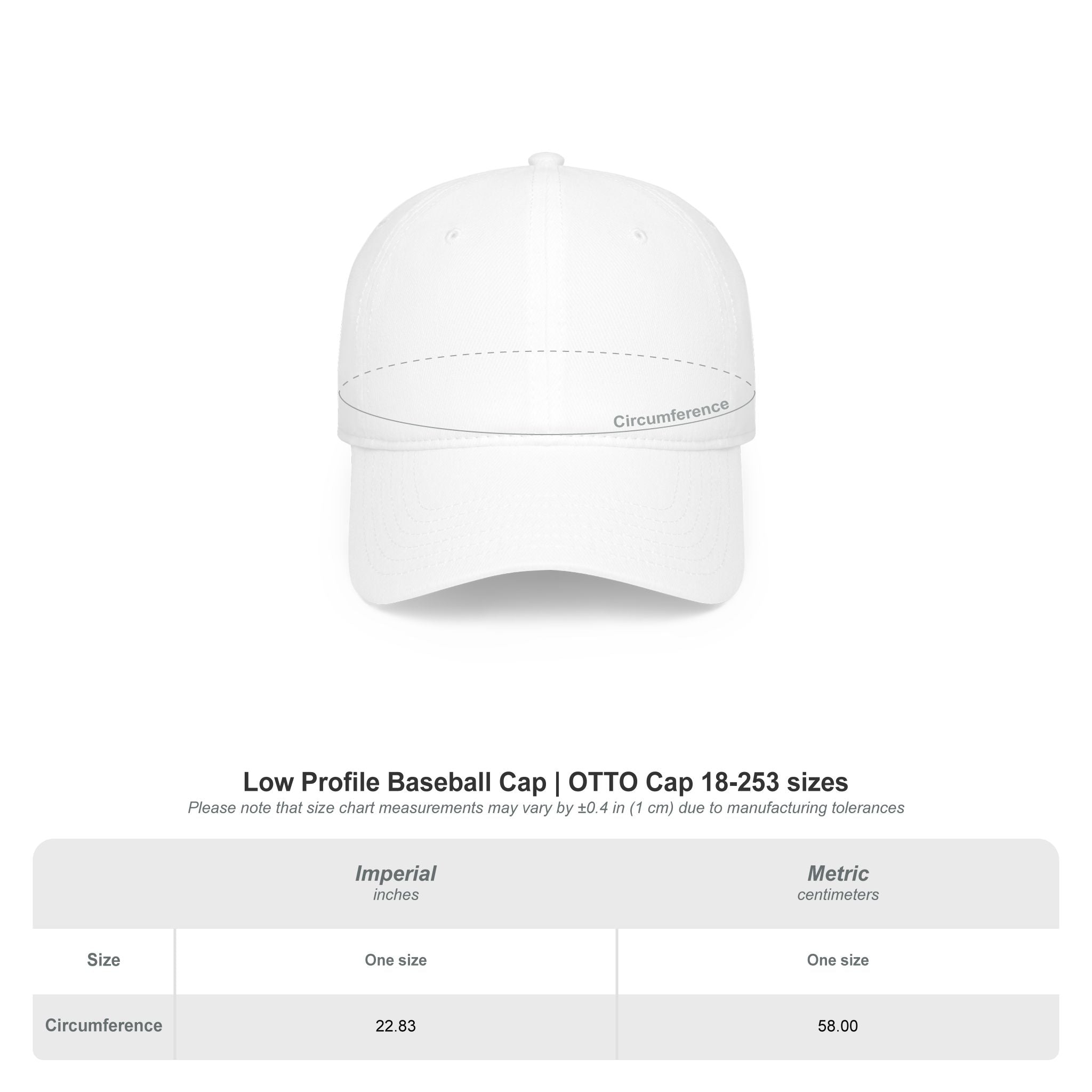 "This Hat Makes Me Invisible" Embroidered Dad Hat