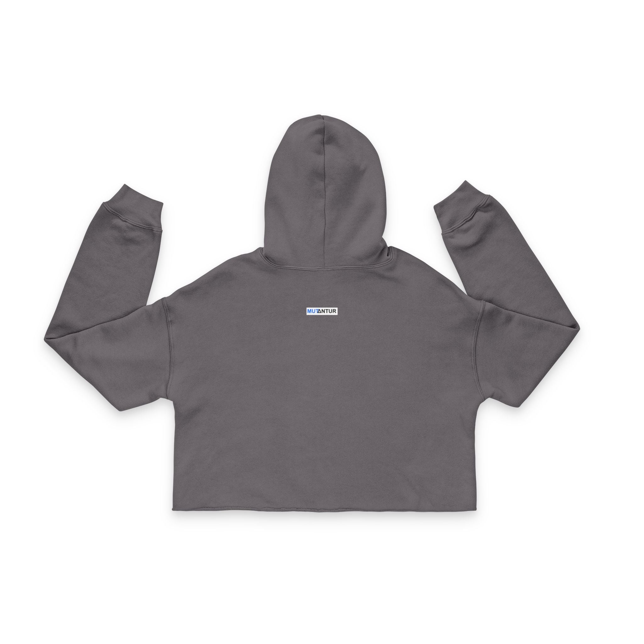 Stand by I'm Recreating myself Butterfly Cropped Hoodie - Mutantur Labs LLC