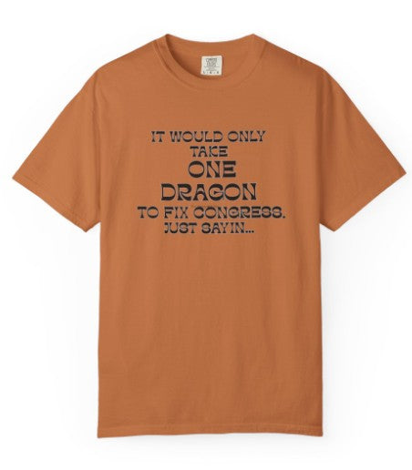 It Would Only Take One Dragon to Fix Congress political tee, texture detail